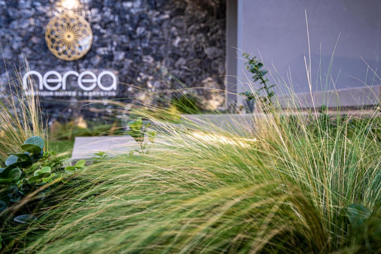 Nerea Boutique Suites Karystos Eksteriør bilde
